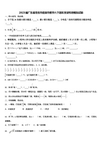 2023届广东省茂名市信宜市数学六下期末质量检测模拟试题含解析