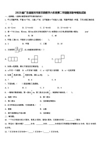 2023届广东省韶关市新丰县数学六年级第二学期期末联考模拟试题含解析