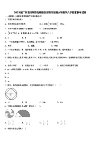 2023届广东省深圳市光明新区深圳市光明小学数学六下期末联考试题含解析