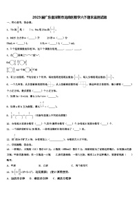 2023届广东省深圳市龙岗区数学六下期末监测试题含解析