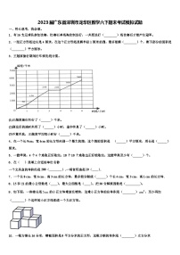 2023届广东省深圳市龙华区数学六下期末考试模拟试题含解析