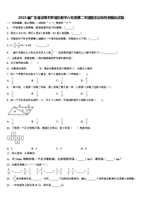 2023届广东省深圳市罗湖区数学六年级第二学期期末达标检测模拟试题含解析