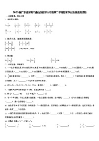 2023届广东省深圳市南山区数学六年级第二学期期末学业质量监测试题含解析