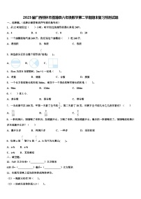 2023届广西桂林市荔浦县六年级数学第二学期期末复习检测试题含解析