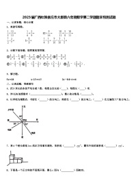 2023届广西壮族崇左市大新县六年级数学第二学期期末检测试题含解析