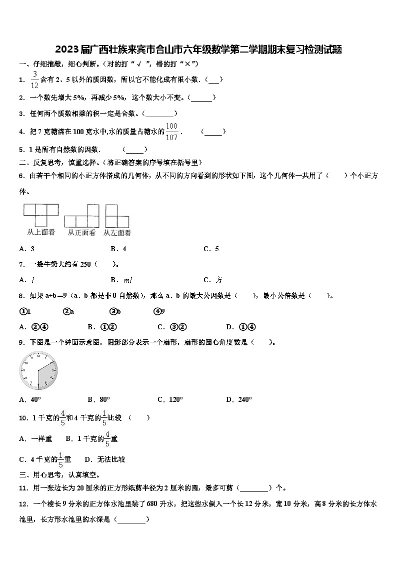2023届广西壮族来宾市合山市六年级数学第二学期期末复习检测试题含解析01