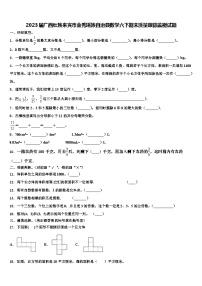 2023届广西壮族来宾市金秀瑶族自治县数学六下期末质量跟踪监视试题含解析