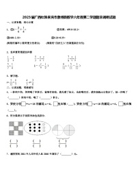 2023届广西壮族来宾市象州县数学六年级第二学期期末调研试题含解析