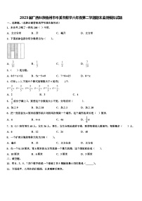 2023届广西壮族梧州市岑溪市数学六年级第二学期期末监测模拟试题含解析