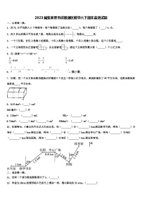 2023届张家界市武陵源区数学六下期末监测试题含解析