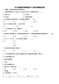 2023届成都市新都区数学六下期末经典模拟试题含解析