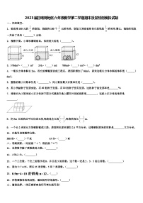 2023届日喀则地区六年级数学第二学期期末质量检测模拟试题含解析