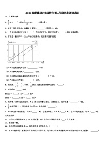 2023届新建县六年级数学第二学期期末调研试题含解析