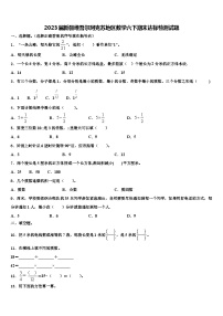 2023届新疆维吾尔阿克苏地区数学六下期末达标检测试题含解析