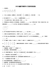 2023届昌宁县数学六下期末检测试题含解析