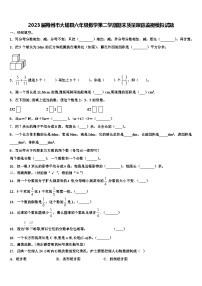 2023届梅州市大埔县六年级数学第二学期期末质量跟踪监视模拟试题含解析