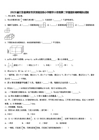 2023届江苏省淮安市洪泽湖实验小学数学六年级第二学期期末调研模拟试题含解析