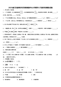 2023届江苏省淮安市洪泽县黄集中心小学数学六下期末检测模拟试题含解析