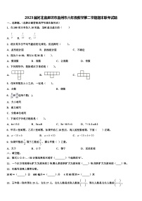 2023届河北省廊坊市霸州市六年级数学第二学期期末联考试题含解析