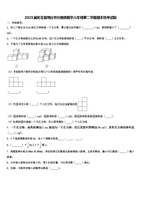 2023届河北省邢台市巨鹿县数学六年级第二学期期末统考试题含解析