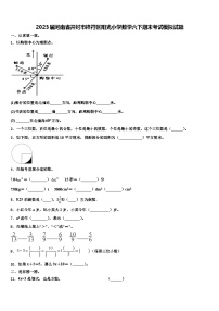 2023届河南省开封市祥符区阳光小学数学六下期末考试模拟试题含解析