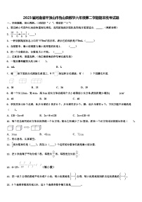 2023届河南省平顶山市鲁山县数学六年级第二学期期末统考试题含解析