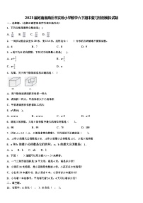 2023届河南省商丘市实验小学数学六下期末复习检测模拟试题含解析