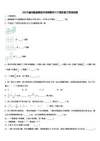 2023届河南省鹤壁市浚县数学六下期末复习检测试题含解析