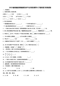 2023届河南省洛阳高新技术产业开发区数学六下期末复习检测试题含解析