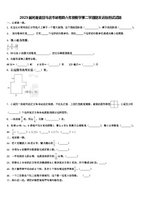 2023届河南省驻马店市泌阳县六年级数学第二学期期末达标测试试题含解析