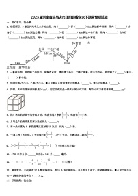 2023届河南省驻马店市正阳县数学六下期末预测试题含解析