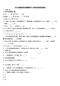 2023届洛阳市汝阳县数学六下期末质量检测试题含解析