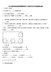 2023届山东省济南市槐荫区数学六下期末学业水平测试模拟试题含解析