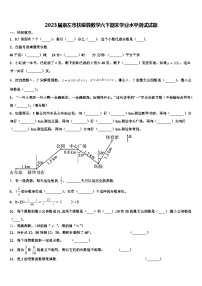 2023届崇左市扶绥县数学六下期末学业水平测试试题含解析