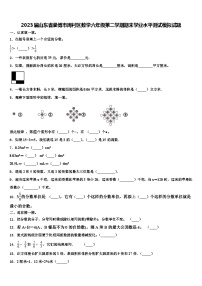 2023届山东省淄博市周村区数学六年级第二学期期末学业水平测试模拟试题含解析