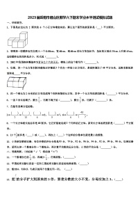 2023届岳阳市君山区数学六下期末学业水平测试模拟试题含解析