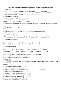 2023届广东省惠州市惠阳区六年级数学第二学期期末学业水平测试试题含解析