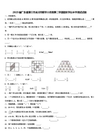 2023届广东省湛江市吴川市数学六年级第二学期期末学业水平测试试题含解析