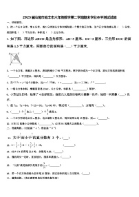 2023届汕尾市陆丰市六年级数学第二学期期末学业水平测试试题含解析