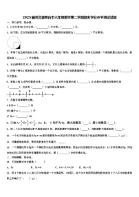 2023届河北省邢台市六年级数学第二学期期末学业水平测试试题含解析