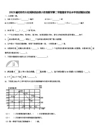 2023届河池市大化瑶族自治县六年级数学第二学期期末学业水平测试模拟试题含解析