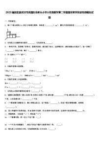 2023届湖北省武汉市武昌区余家头小学六年级数学第二学期期末教学质量检测模拟试题含解析