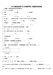 2023届湖北省咸宁市六年级数学第二学期期末经典试题含解析