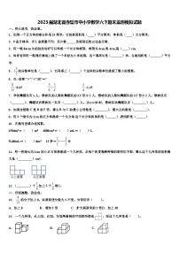 2023届湖北省赤壁市中小学数学六下期末监测模拟试题含解析