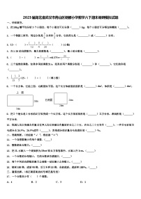 2023届湖北省武汉市青山区钢都小学数学六下期末调研模拟试题含解析