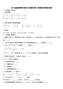 2023届湖南郴州汝城县六年级数学第二学期期末统考模拟试题含解析