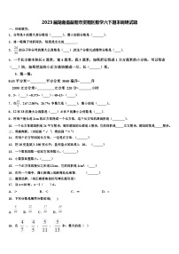 2023届湖南省益阳市资阳区数学六下期末调研试题含解析