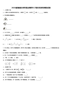 2023届湖南省永州市蓝山县数学六下期末质量检测模拟试题含解析