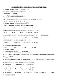 2023届湖南省株洲市炎陵县数学六下期末学业质量监测试题含解析