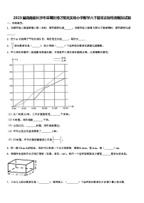 2023届湖南省长沙市岳麓区博才阳光实验小学数学六下期末达标检测模拟试题含解析